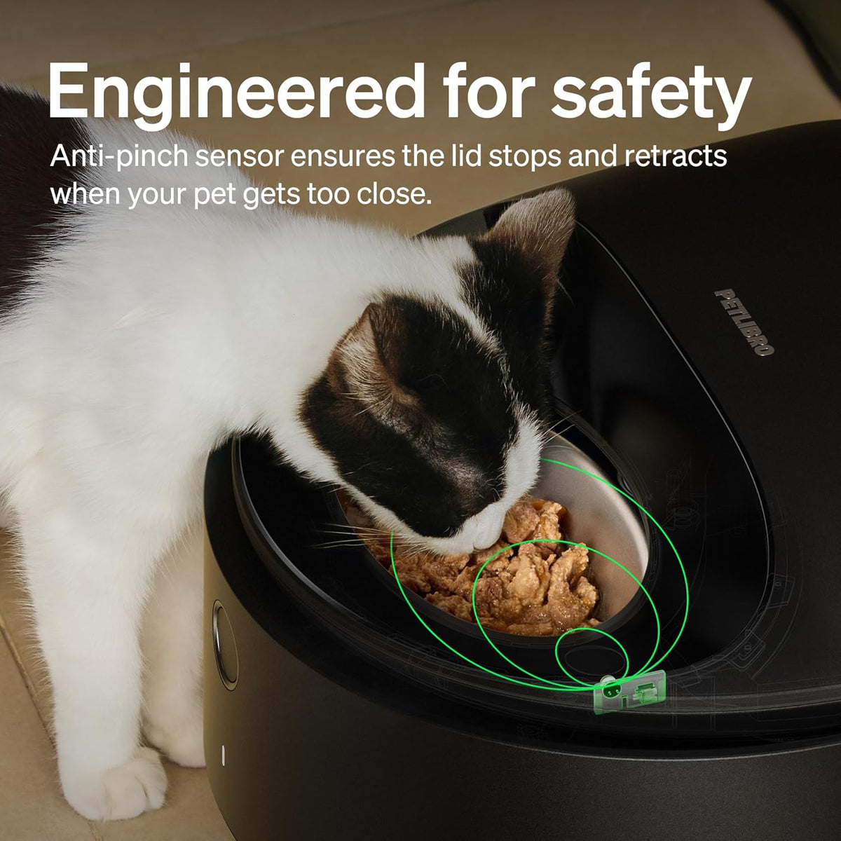 Automatic Wet Cat Feeder