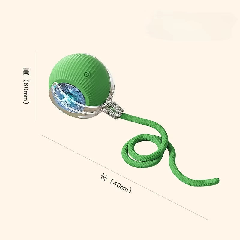 Interactive Cat Rolling Ball Toy