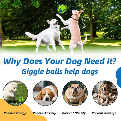 Interactive Dog Training Ball