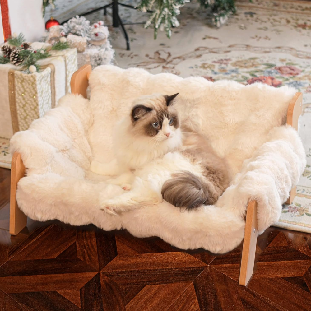 Elevated Cat Sofa Bed