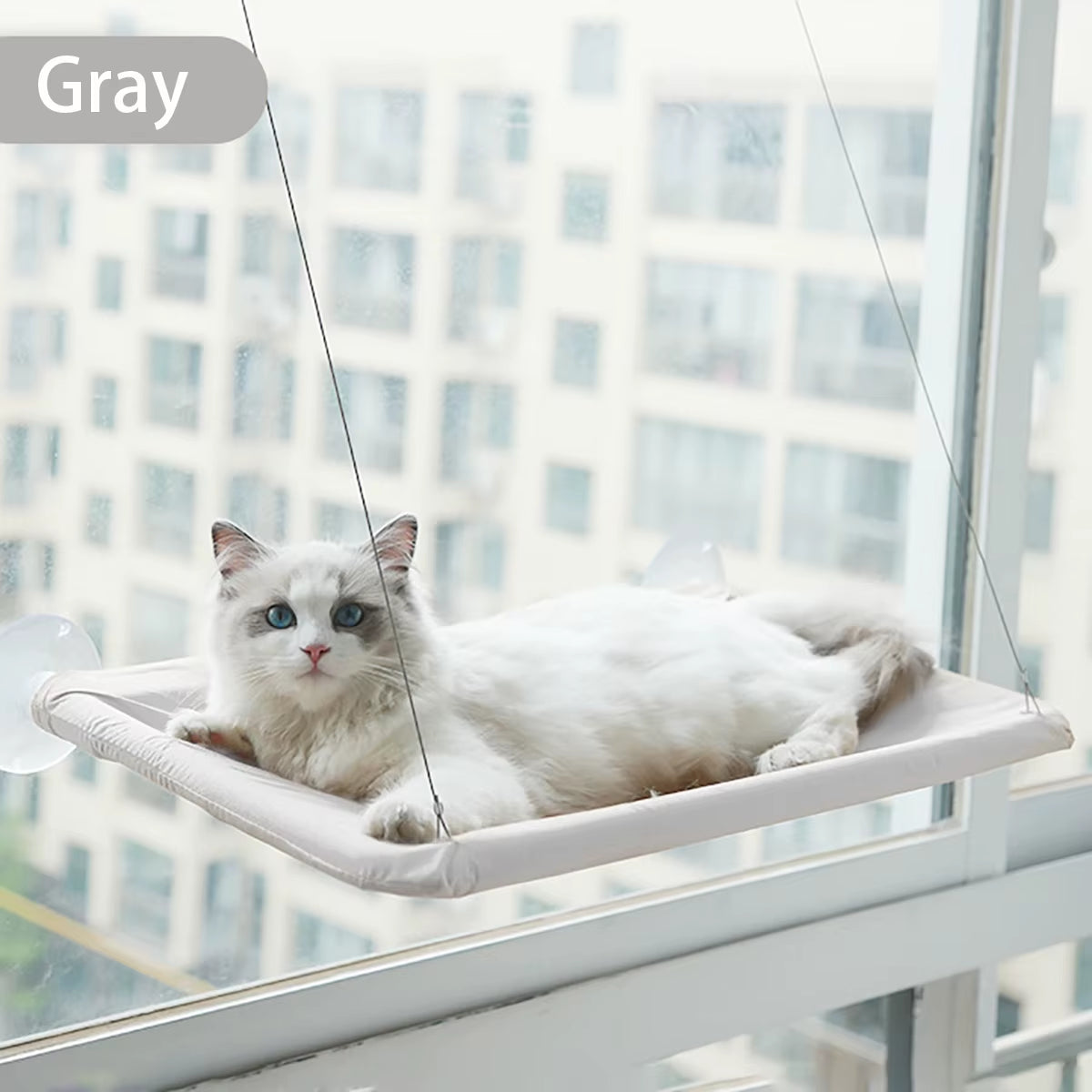 SunBasker Window Hammock – The Ultimate Sunny Seat for Cats Who Love to Lounge