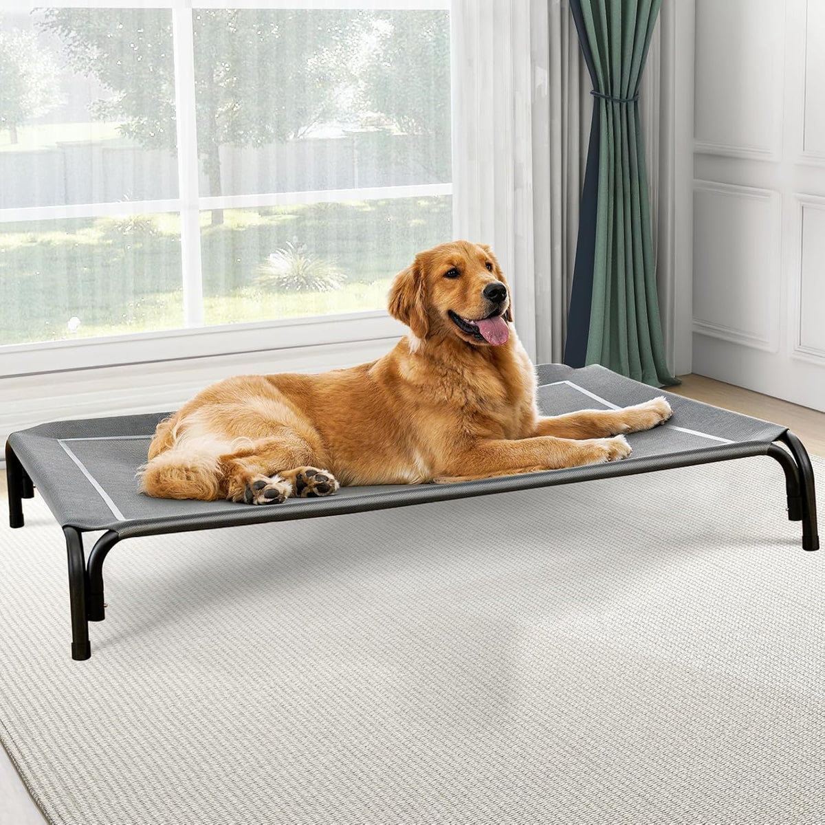 Elevated Dog Cooling Bed