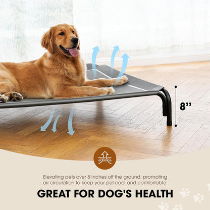 Elevated Dog Cooling Bed