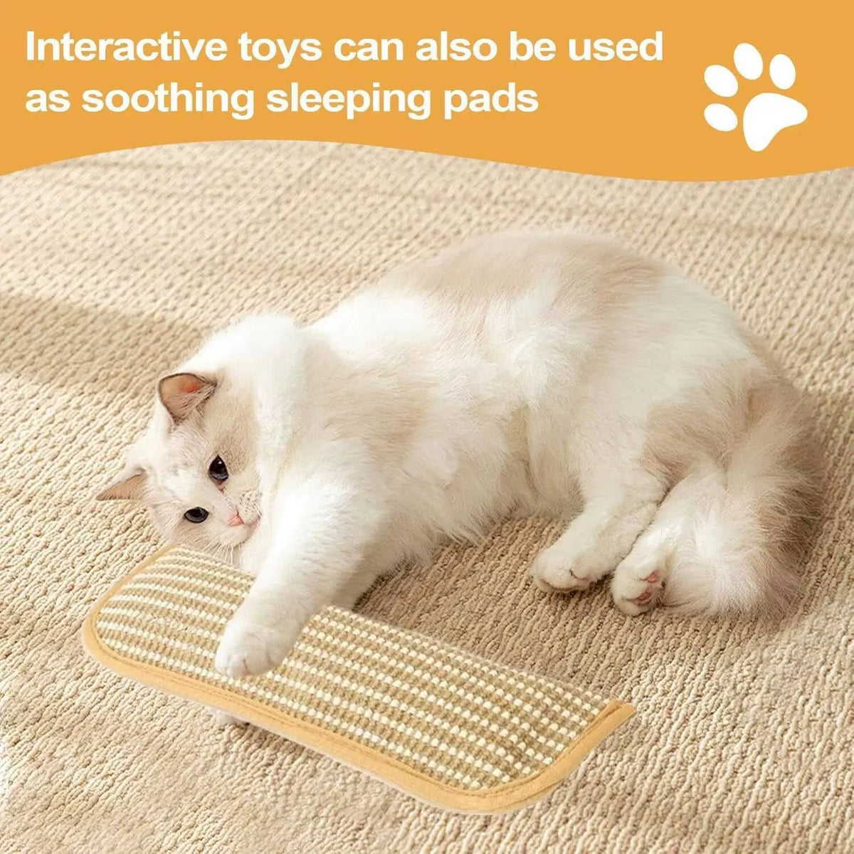 Catnip Interactive Scratcher Toy