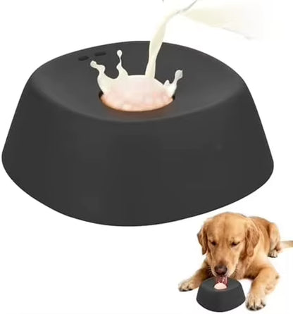 Slow Feeder Dog Bowl